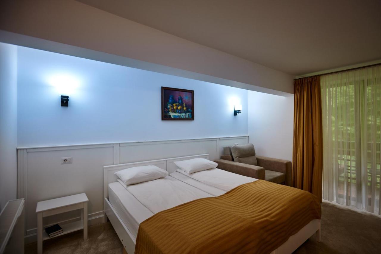 Hotel & Restaurant Sofia Сучевіца Екстер'єр фото