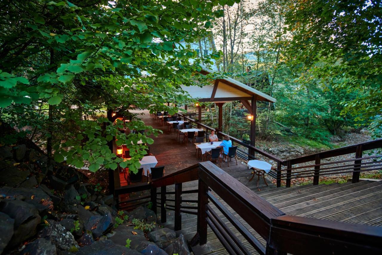 Hotel & Restaurant Sofia Сучевіца Екстер'єр фото