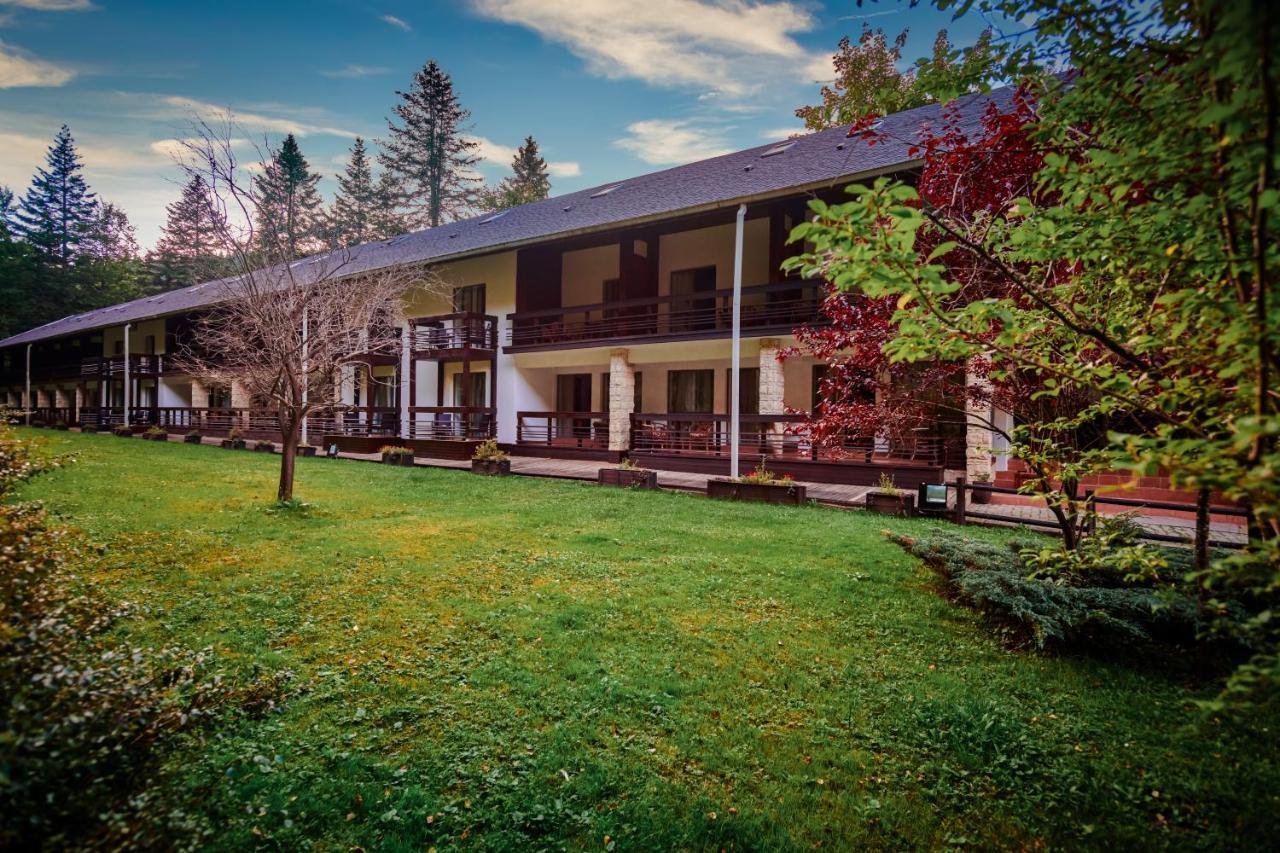 Hotel & Restaurant Sofia Сучевіца Екстер'єр фото